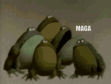 Maga Frogs GIF - Maga Frogs GIFs