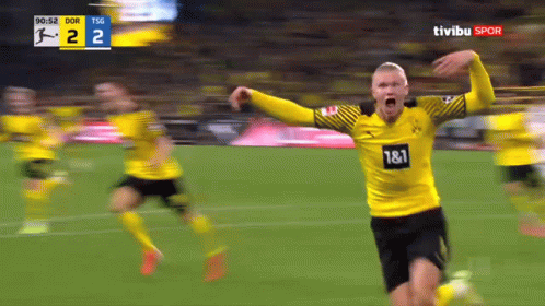 Haaland Erling Haaland GIF - Haaland Erling Haaland BVB - Discover & Share  GIFs