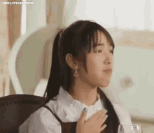 bnk rabbit