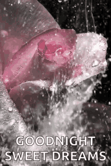 Goodnight Nite GIF - Goodnight Nite Sparkles GIFs