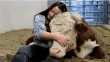 Pet Cow GIF - Pet Cow Hug GIFs