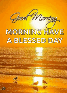 Have A Blesses Day Beach GIF - Have A Blesses Day Beach Sunrise GIFs