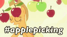 apple picking applejack