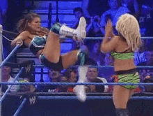 Eve Torres Kicked GIF - Eve Torres Kicked Wwe GIFs