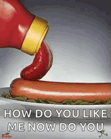 Lick Ketchup GIF - Lick Ketchup Hotdog GIFs