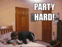 Party Lol GIF - Party Lol Hardcore GIFs