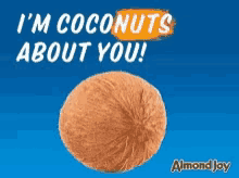 Love Coconut GIF - Love Coconut Almond GIFs