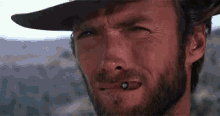 The Good The Bad And The Ugly Cat GIF - The Good The Bad And The Ugly Cat Derp GIFs