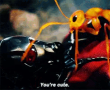 Youre So Cute Paul Rudd GIF - Youre So Cute Paul Rudd Ant Man GIFs