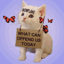 Snowflake What Can Offend Us GIF - Snowflake What Can Offend Us White Kitten GIFs
