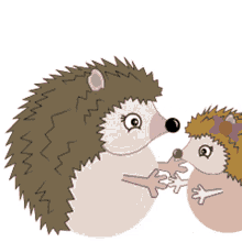 hugging hedgehogs cute mom and baby hedgehog hug