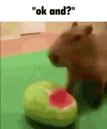watermelon capybara