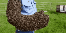 Hive Swarm Not Swam GIF - Hive Swarm Not Swam Bee Strong GIFs
