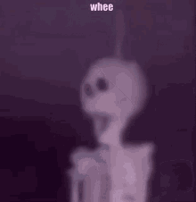 Whee Skeleton GIF - Whee Skeleton GIFs
