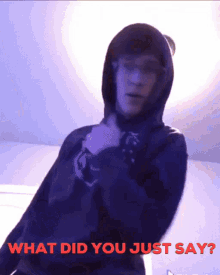 Dwolf What Did You Say GIF - Dwolf What Did You Say What Did You Just Say GIFs