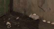 Cleaning Rats GIF - Cleaning Rats GIFs