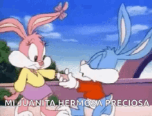 Juanita Hermosa Preciosa Bunny GIF - Juanita Hermosa Preciosa Bunny Love GIFs