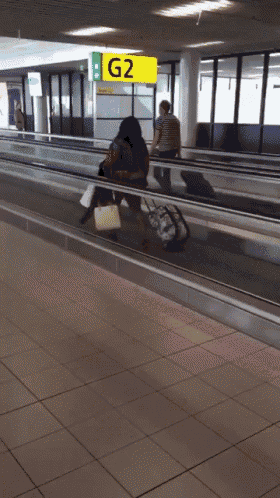 Airport Wrong GIF - Airport Wrong Way - Discover &amp; Share GIFs