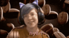 Nyan Nyan Destotim GIF - Nyan Nyan Destotim Streamer GIFs