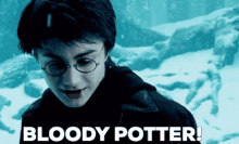 Harry Potter Bloody Potter GIF - Harry Potter Potter Bloody Potter GIFs