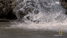 Water Solving The Water Problem GIF - Water Solving The Water Problem Distributing Water GIFs