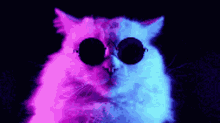 Cool Cat GIF - Cool Cat GIFs