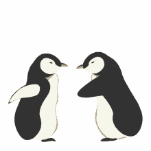 love penguin