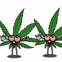 Weed Dance Time Marijuana GIF - Weed Dance Time Marijuana Cannabis GIFs