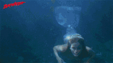 Swimming Looking GIF - Swimming Looking Stare GIFs