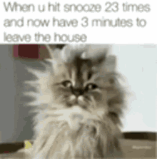 Missing Stash No Longer A Mystry When You Hit Snooze GIF - Missing Stash No Longer A Mystry Stash When You Hit Snooze GIFs