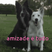 amizade dogs friends bff hug
