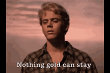 pony boy nothing gold can stay the outsiders pony boy nothing gold can stay the outsiders
