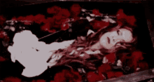 vampire sleeping