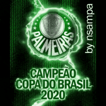 Palmeiras Calaboca GIF - Palmeiras Calaboca GIFs