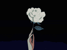 Flower White Rose GIF - Flower White Rose Floating Rose GIFs
