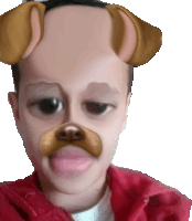 Dog Fliter Sticker - Dog Fliter Face Stickers