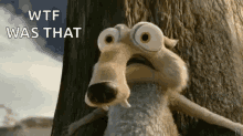 Wtf Ice Age GIF - Wtf Ice Age Scared GIFs