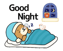 goodnight snore night night bedtime zzz