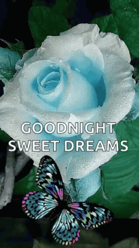 Goodnight Sweet Dreams GIF - Goodnight Sweet Dreams Flowers - Discover ...
