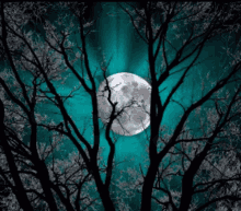 Luna Cielo Nocturno GIF - Luna Cielo Nocturno Moon GIFs