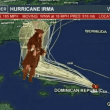 hurricane news