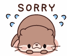 otter sorry reaction apology