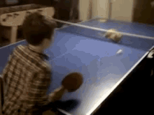 Ping Pong Cat GIF - Ping Pong Cat GIFs