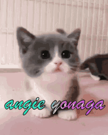 Angie Angie Yonaga GIF - Angie Angie Yonaga Danganronpa GIFs