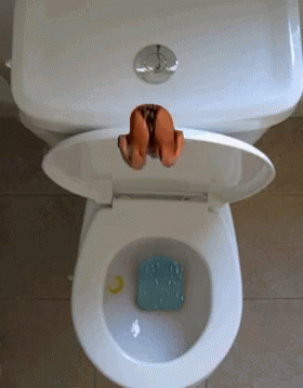 Dive Toilet GIF - Dive Toilet Funny Edit - Discover &amp; Share GIFs