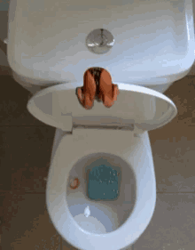 Dive Toilet GIF - Dive Toilet Funny Edit GIFs