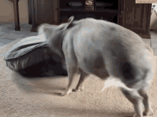 Go To Sleep Bed Time GIF - Go To Sleep Bed Time End Of Work GIFs