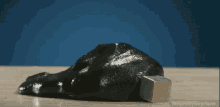 Magnetic Putty Swallowing A Metal Cube Whole GIF - Blob Metal GIFs