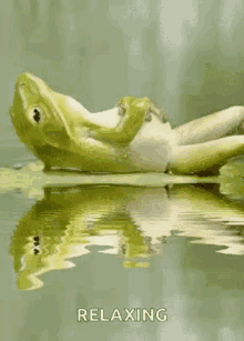 Frog Chill GIF - Frog Chill Relaxing GIFs