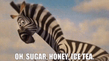 Madagascar Marty GIF - Madagascar Marty Oh Sugar Honey Ice Tea GIFs